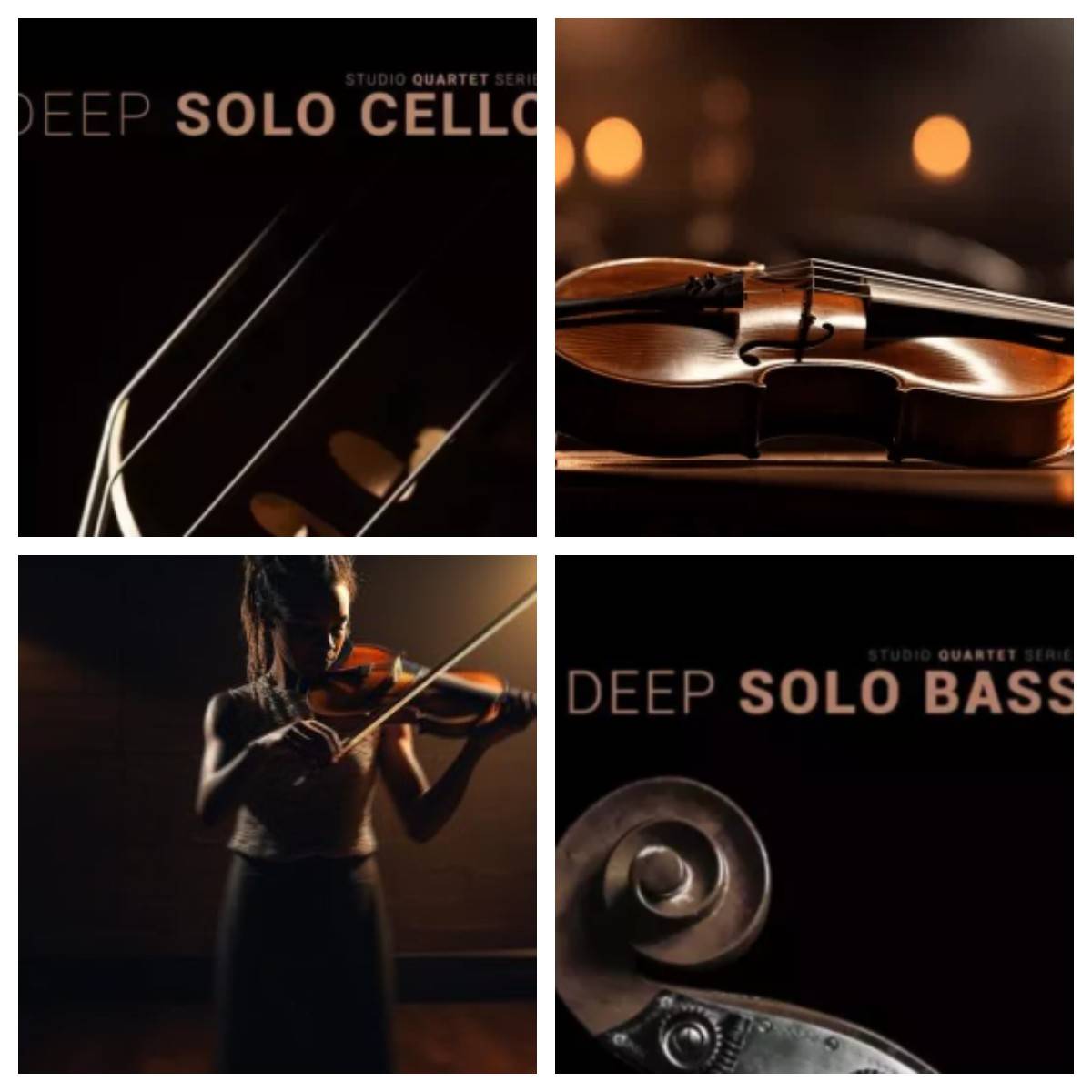 录音室四重奏系列  包含小提 中提 大提 低音提琴8Dio Studio Quartet Series Deep Solo KONTAKT【】