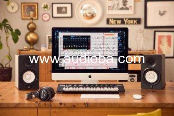 斯坦伯格专业打谱制谱软件 Steinberg Dorico Pro 5 v5.1.40-WiN MAC【】