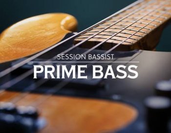Native Instruments Session Bassist Prime Bass KONTAKT 1.0.2 贝斯音源【】