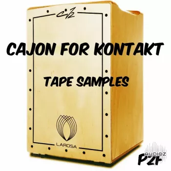 卡洪琴 PastToFutureReverbs P2F Cajon for KONTAKT! KONTAKT【】