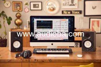 斯坦伯格专业打谱制谱软件 Steinberg Dorico Pro 5 v5.1.51-WiN MAC【】