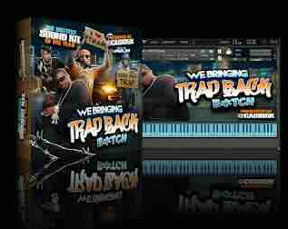 40种康泰克乐器 casio5k Trap Back KONTAKT Library【】